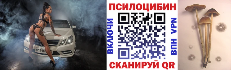это состав  наркота  кракен   Иваново  Псилоцибиновые грибы GOLDEN TEACHER 